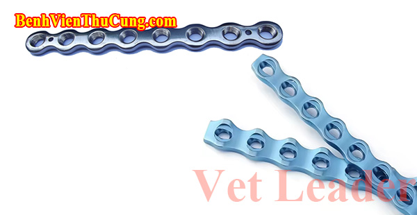 Nẹp Titan khoá mắt xích trong phẫu thuật xương thú y 2.0mm 20 lổ - Titanium DCP locking plate Vet Leader