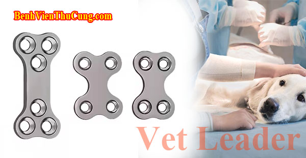 Thiết bị y tế nẹp xương thú y dạng cánh bướm hiệu Vet Leader - Veterinary orthopedic bone X-type plate NB156 Vet Leader 1.5mm 6 lổ Inox