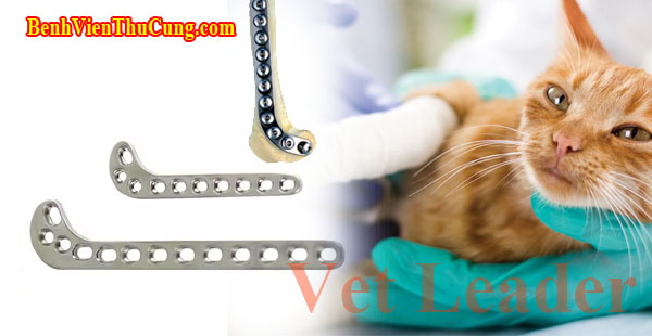 Thiết bị y tế nẹp xương đùi xa thú y Inox - Veterinary orthopedic distal femur bone plate (thignbone) NXD20 Vet Leader 2.0mm 16 lổ Inox