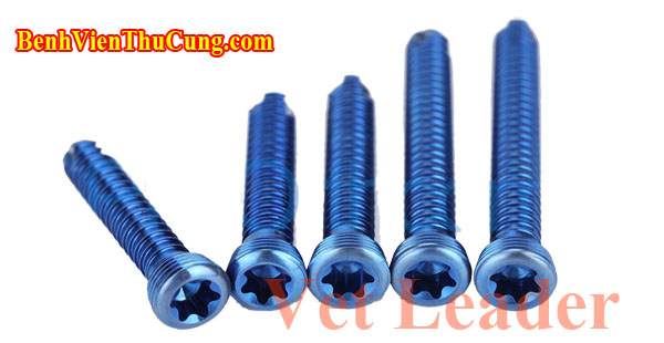 Vít khóa phẫu thuật xương thú y Titan - Titanium Veterinary orthopedic bone locking screw VKT15 1.5mm Vet Leader