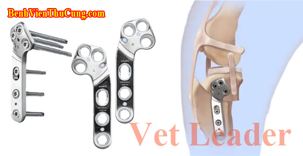 Nẹp TPLO trong phẫu thuật xương thú y - Veterinary orthopedic TPLO plate NTP203+3 Vet Leader