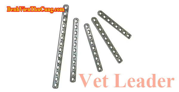 Thiết bị y tế nẹp vít xương thú y mắc xích Inox 2.0mm 20 lổ Vet Leader - Veterinary Orthopedy Implants Surgical Orthopedic DCP locking plate Vet Leader NMI2020