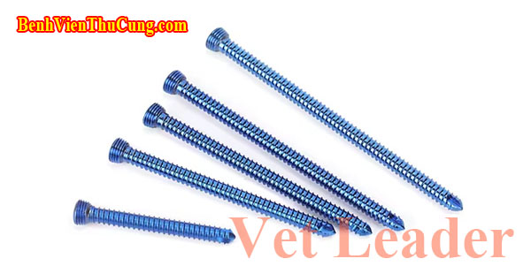 Thiết bị y tế : Vít nẹp khóa phẫu thuật xương thú y - Titan Veterinary orthopedic bone locking screw VK20 2.0mm Vet Leader