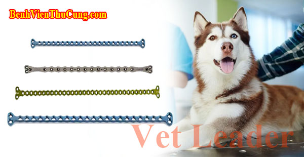 Thiết bị y tế nẹp xương thú y 2 đầu chữ T - Titan Veterinary orthopedic bone T-Type plate NTT21130H 1.1mm 30 lổ Vet Leader