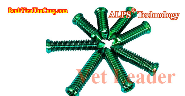 Thiết bị y tế : Vít xương khóa công nghệ ALPS phẫu thuật thú y Titan - Veterinary orthopedic bone locking screw Vet Leader VKTF15 1.5mm ( Advanced Locking Plate Systems )