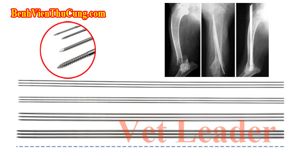 Thiết bị phẫu thuật y tế thú y :Đinh nội tủy có ren thú y - Veterinary Threaded Kirschner K Wire Vet Leader