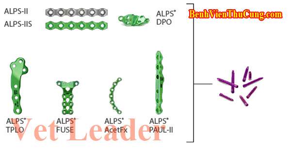 Thiết bị y tế nẹp vít xương khóa ALPS trong phẫu thuật thú y - Veterinary orthopedic Titan Advanced Locking Plate System Vet Leader