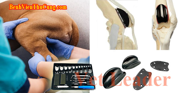 Thiết bị phẫu thuật y tế thú y : Bộ rãnh xương bánh chè thú y PGR - Patellar Groove Replacement Veterinary Vet Leader 
