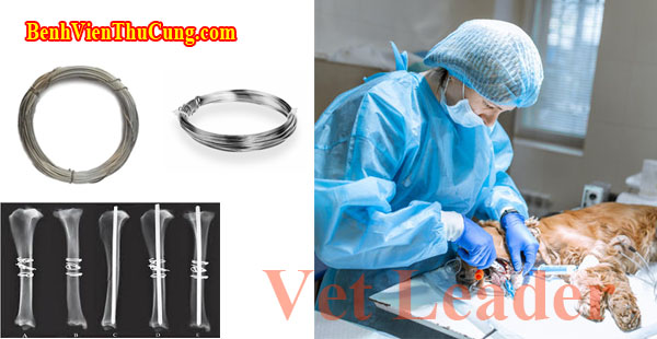 Thiết bị phẫu thuật y tế thú y : Chỉ thép phẫu thuật thú y - Veterinary Stainless Cerclage Wire Vet Leader CT