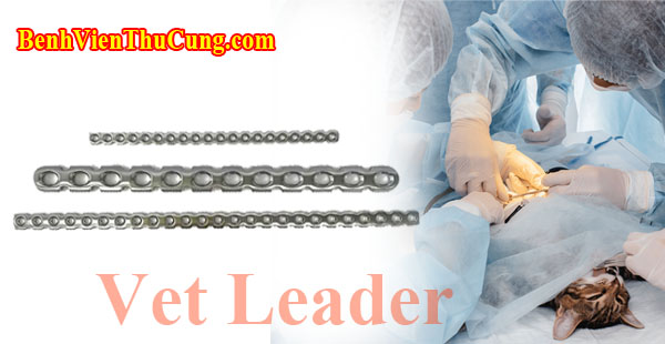 Thiết bị phẫu thuật y tế thú y : Nẹp Xương Mắt Xích Nén Ép Inox Thú Y 2 Chiều - Veterinary Reconstruction Compression Bone Plate Vet Leader NMI1530