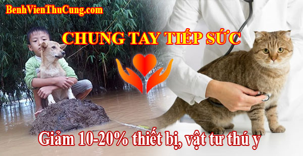 Thiết bị y tế phẫu thuật thú y với chương trình "Chung tay tiếp sức bác sĩ phòng khám thú y mùa lũ lụt 2025"