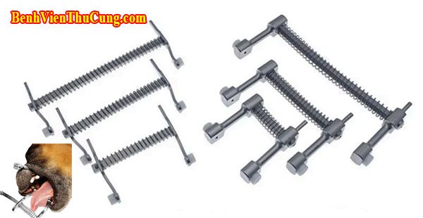 Thiết bị phẫu thuật y tế thú y : Ngàm banh miệng chó mèo, ngáng miệng chó mèo - Canine Mouth Gag